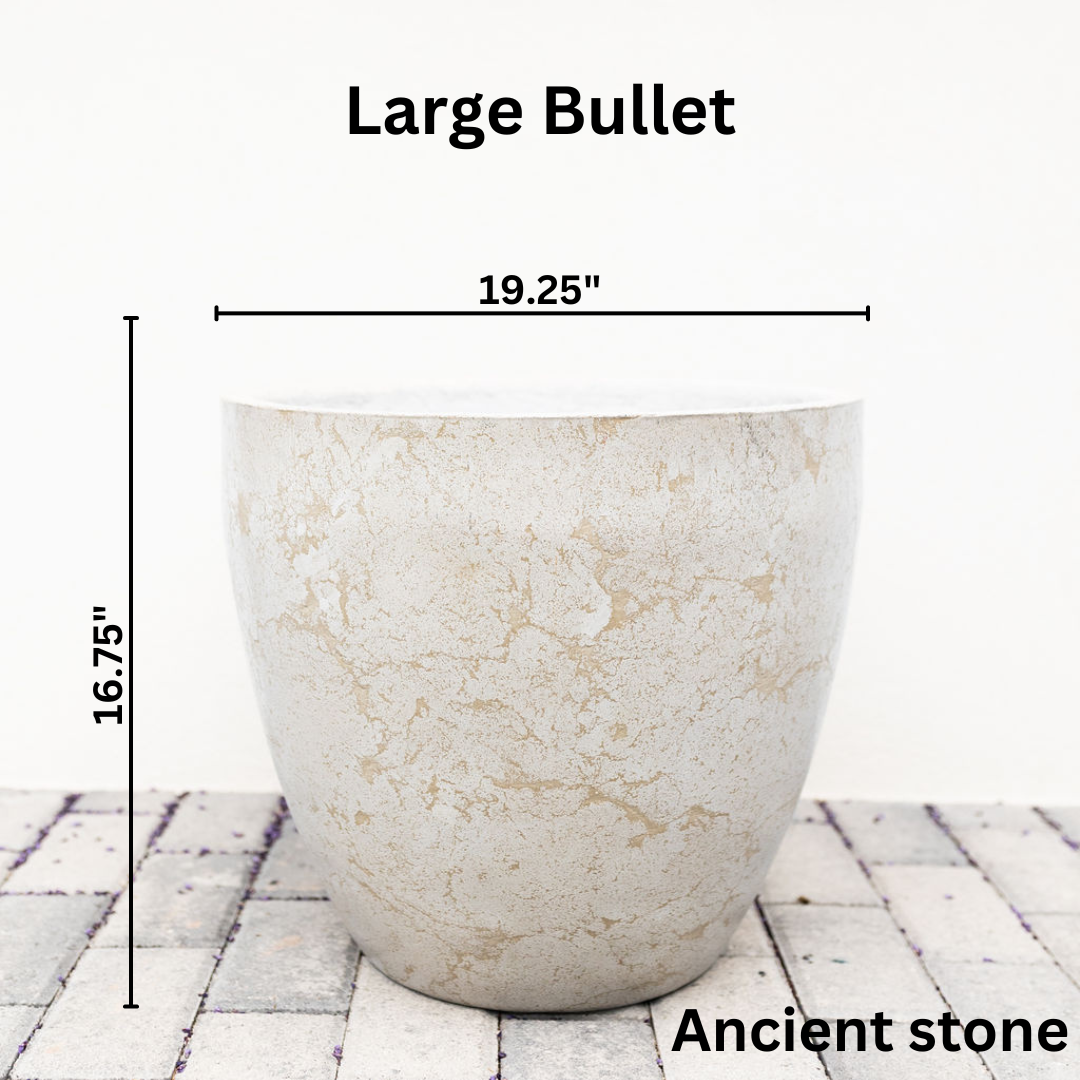 Large Concret Planter