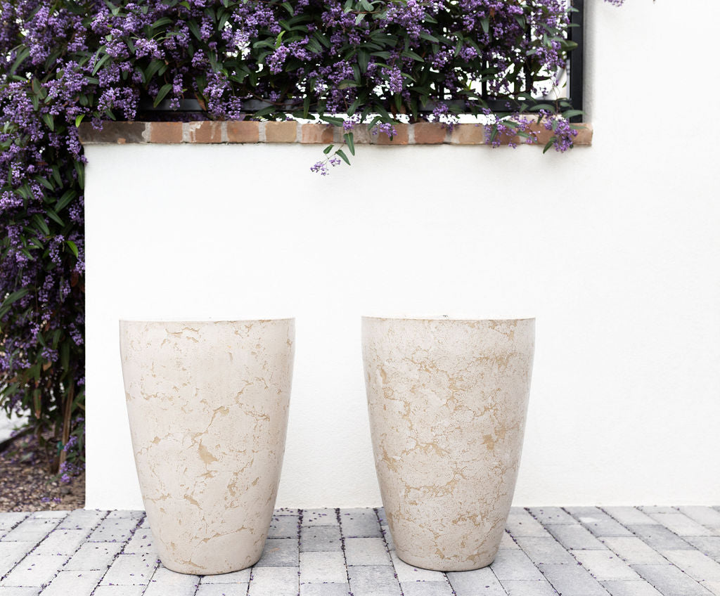 Twin Large Concrete Planters