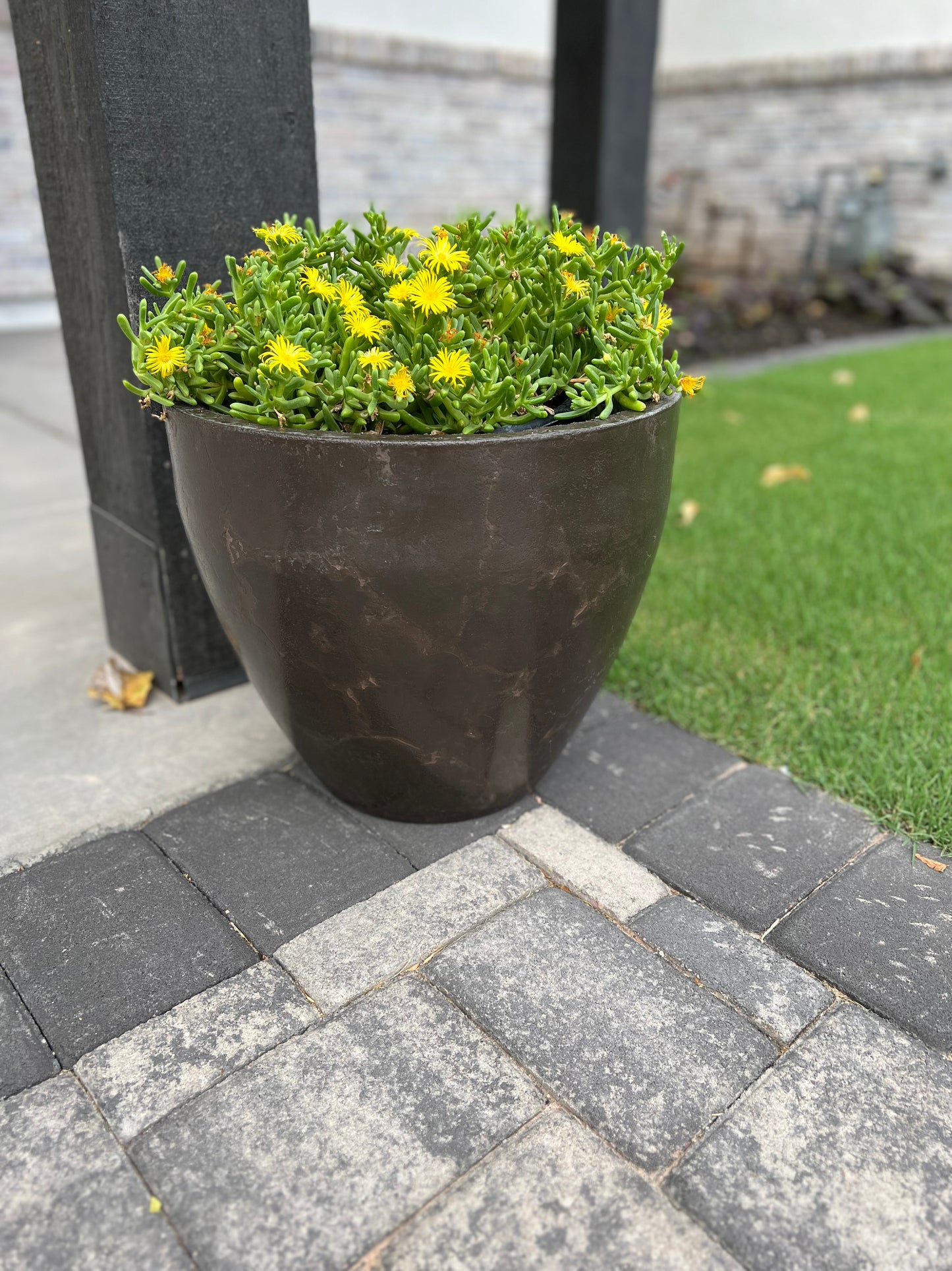Concrete Planter