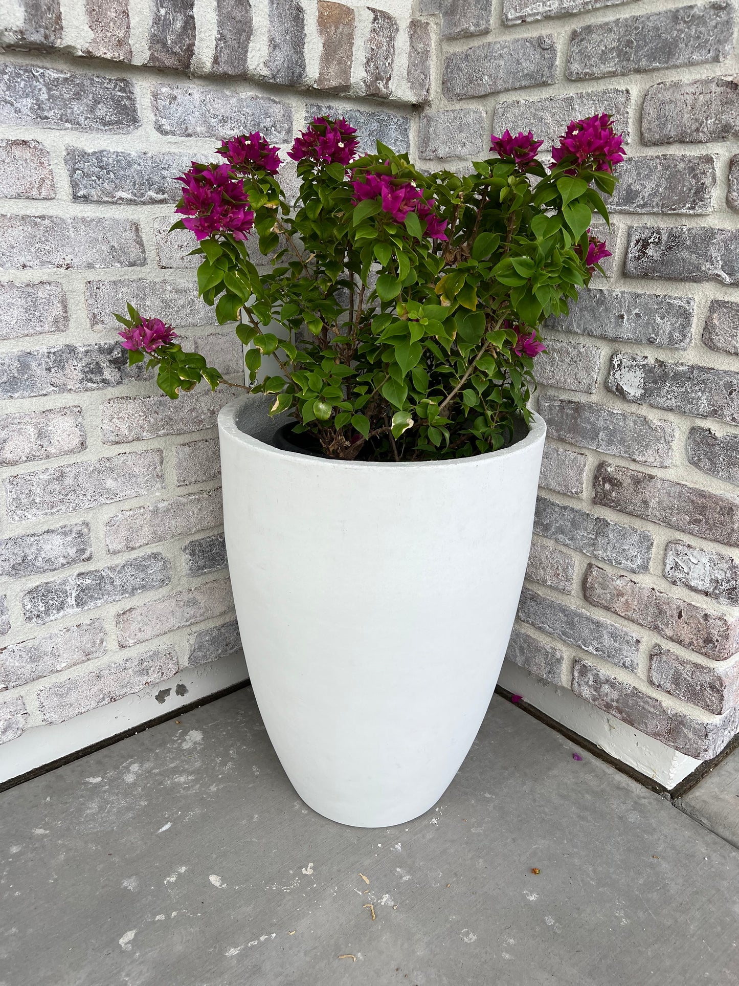 Concrete Planter