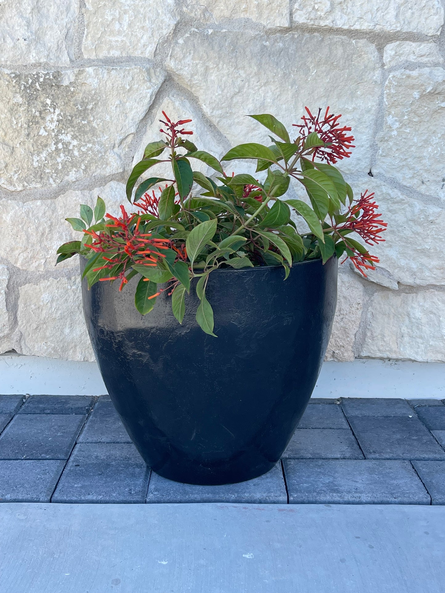 Ebony Stone Medium Concrete Planter