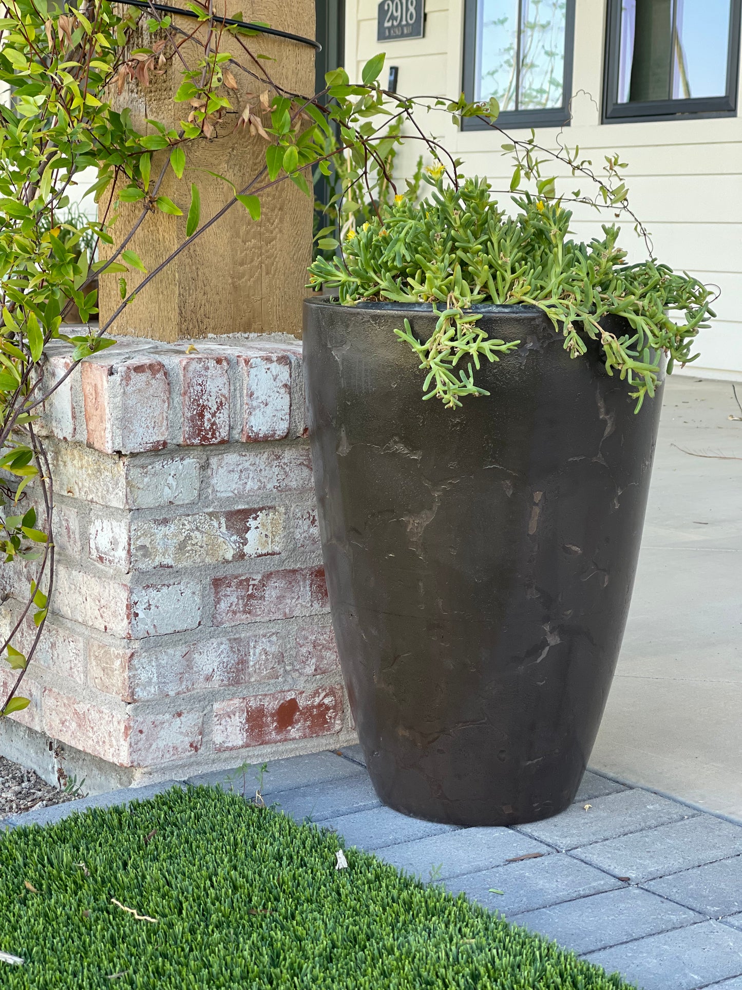 Concrete Planter