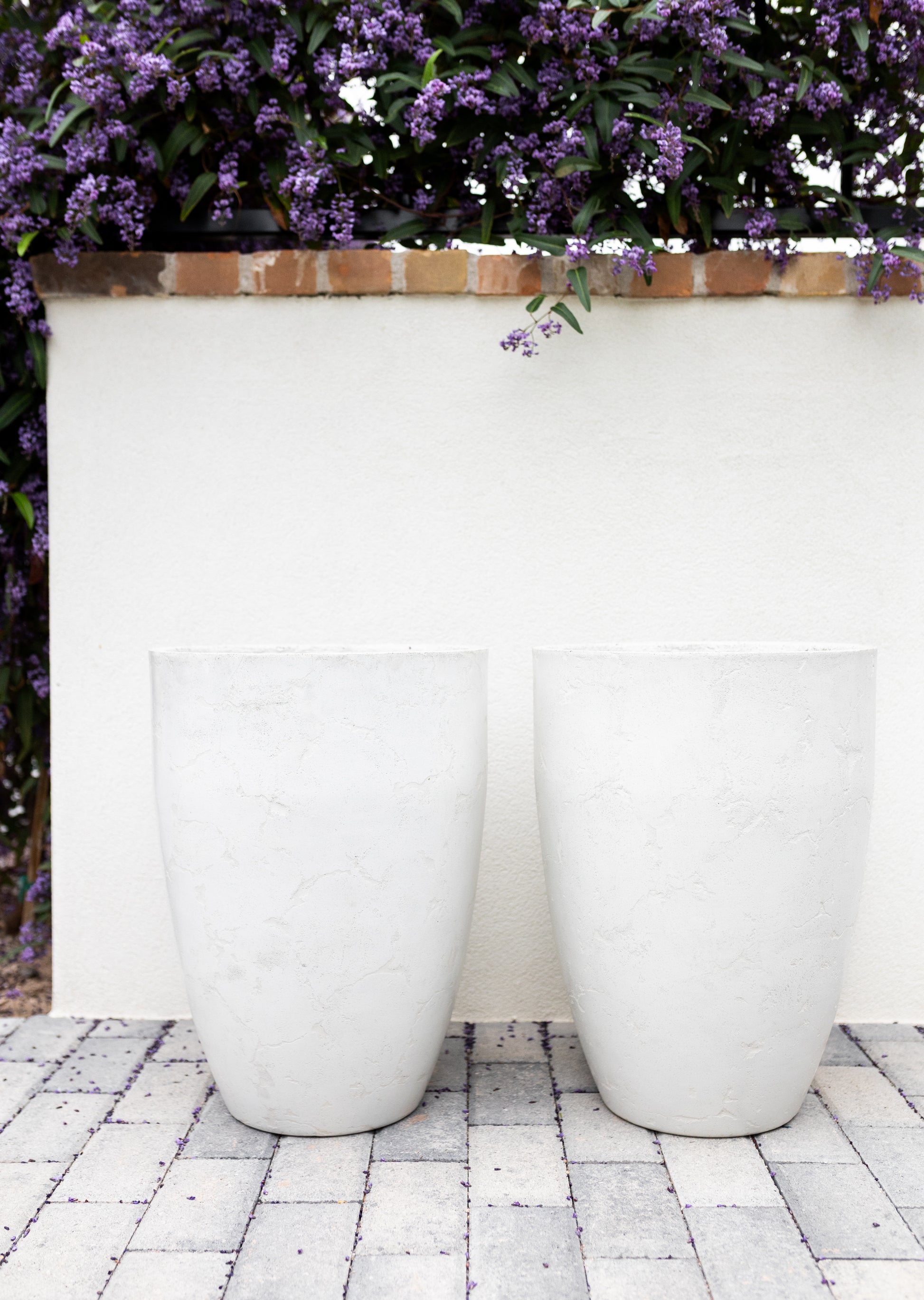Tall twin Concrete Planters